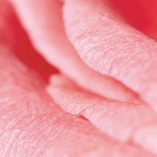 Gel Douche Rose-Jasmin